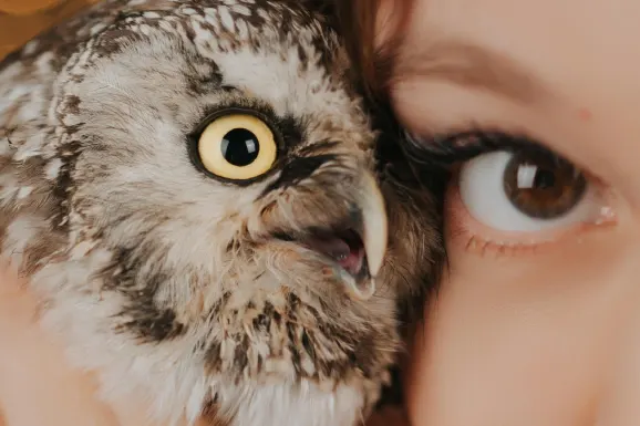 Kazino Lucky 31 Atbalsts